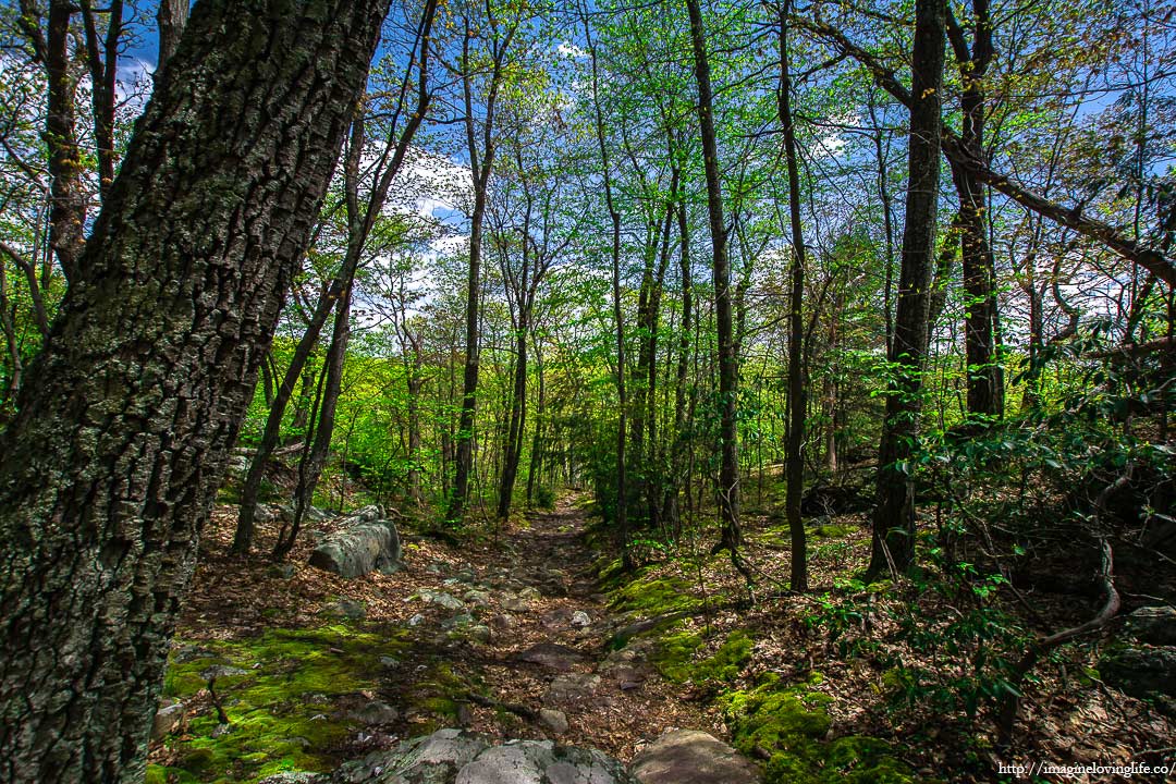 blue trail to parking